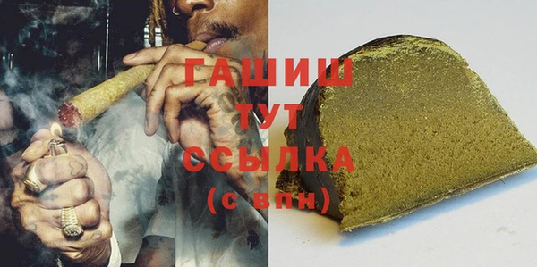 индика Балахна